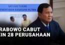 Istana Tak Masalah Perusahaan Yang Dicabut Izinnya Masih Beroperasi di Sumatera, Loh Kok Gitu? – Detik Kini