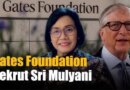 Prediksi Besaran Gaji Sri Mulyani, Eks Menkeu yang Kini Dipercaya Bill Gates Isi Posisi Strategis – Detik Kini