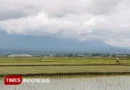 ​Tajuk Redaksi: Menggugat Narasi Produksi Pertanian Indonesia – Detik Kini