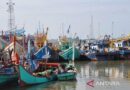 AP2HI sebut subsidi perikanan masih dibutuhkan nelayan – Detik Kini