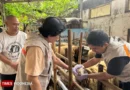 Kurangi Sampah Saat Idul Adha, Pemkot Yogyakarta Ajak Warga Tinggalkan Plastik – Detik Kini